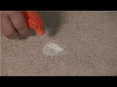Carpet Cleaning : Removing Paint From Carpet