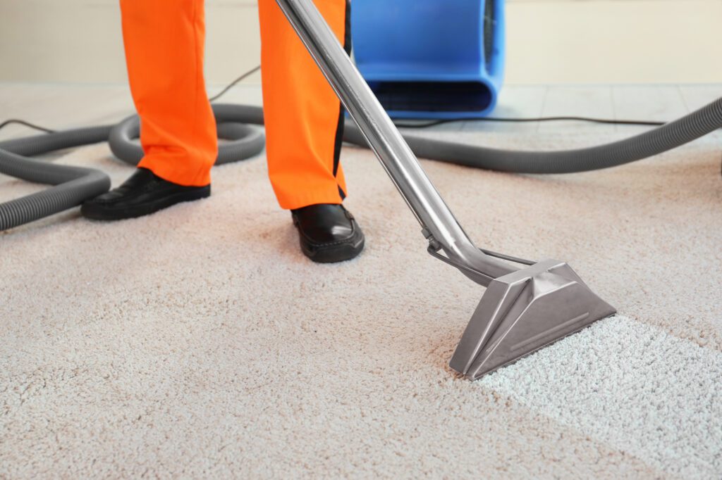 how much does carpet cleaning cost