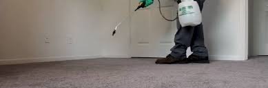 Consider treating carpet and upholstery with a pesticide