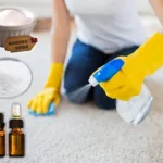 Bicarbonate-of-Soda-Borax-Substitute-and-Essential-Oil-carpet-cleaner-recipe