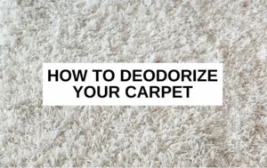 How-to-deodorize-carpet