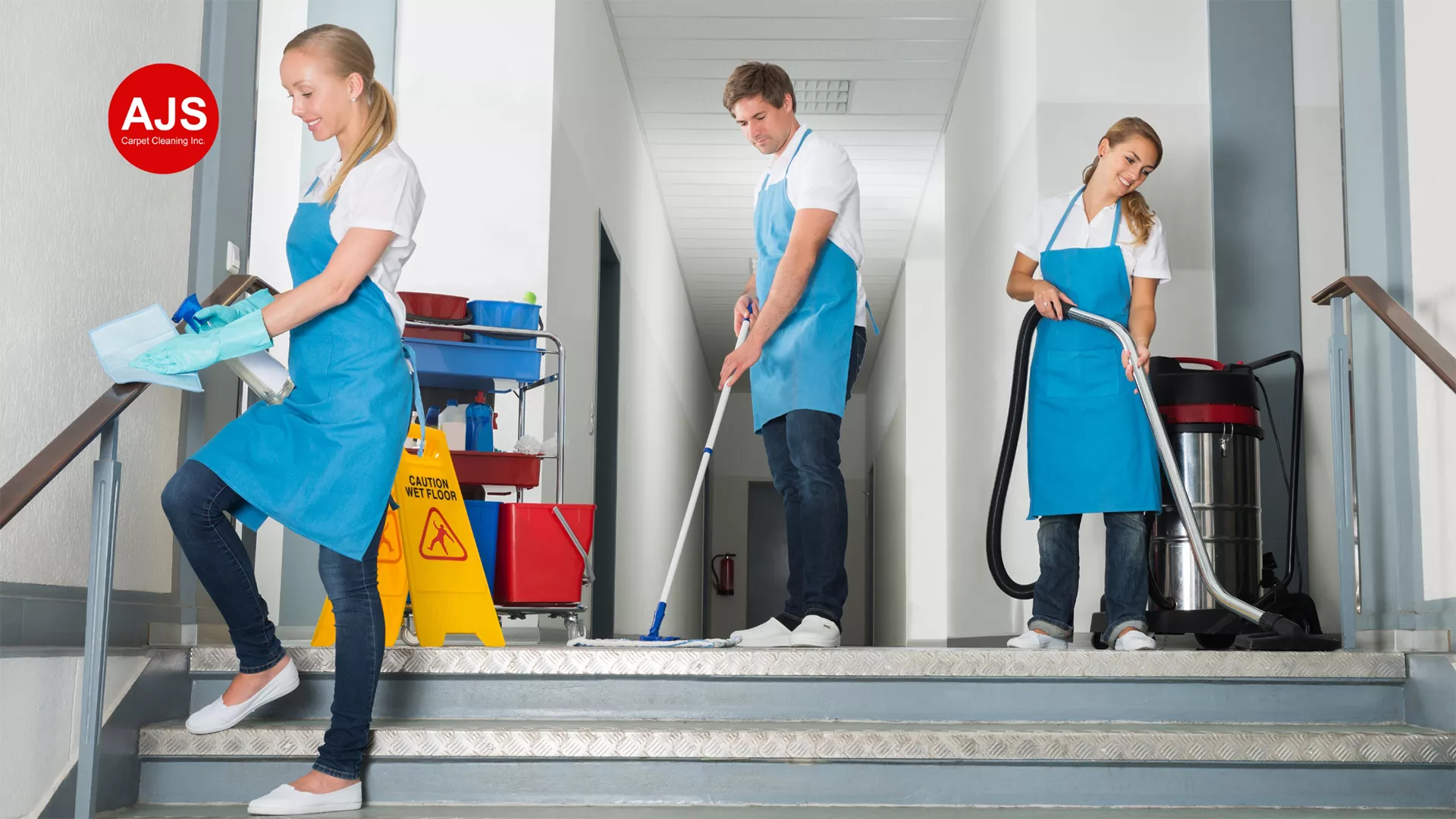 professional carpet cleaning professional carpet cleaning