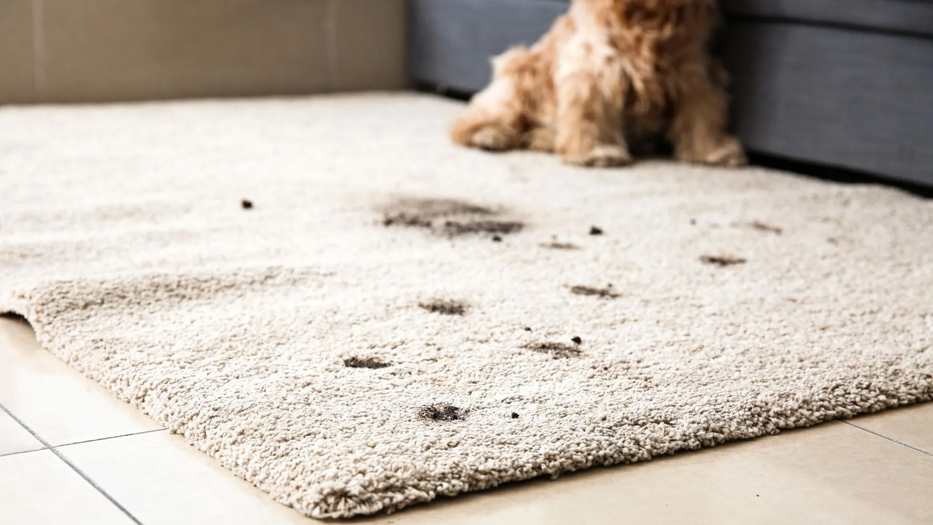 Cleaning-Protects-Your-Health