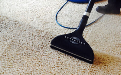 How Micro Dust in Carpets Quietly Shapes the Air You Breathe