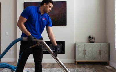 Eco Smart Carpet Cleaning: Keeping Your Floors Truly Clean Without Harming the Planet