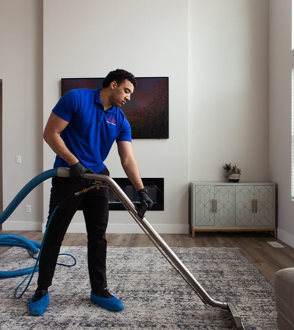 Eco Smart Carpet Cleaning: Keeping Your Floors Truly Clean Without Harming the Planet