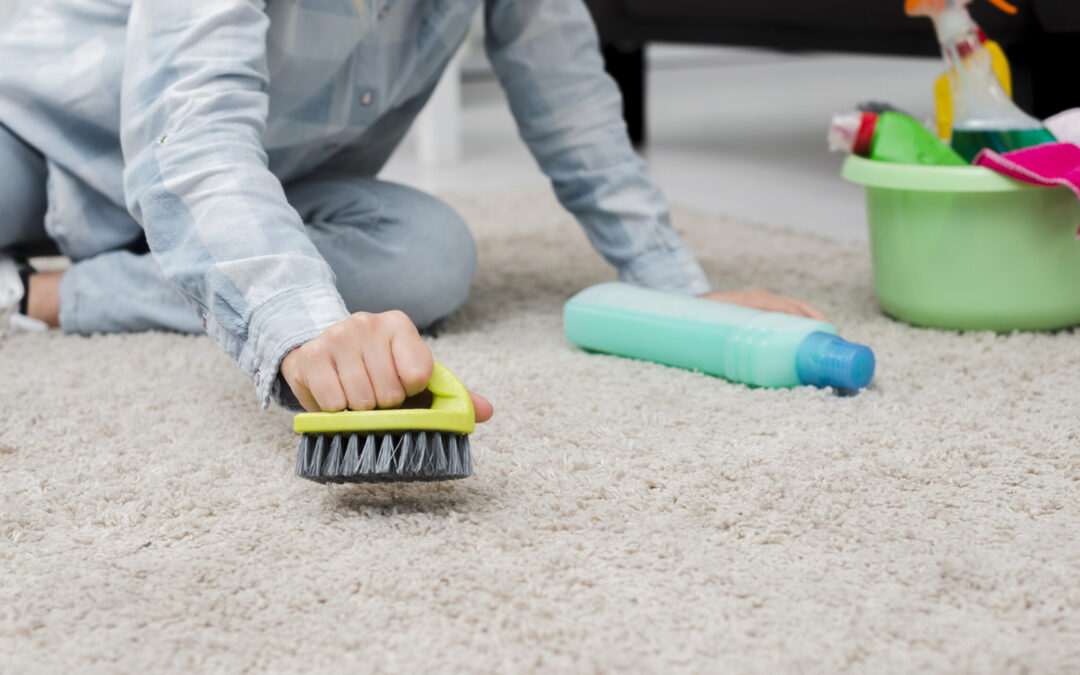 The Truth About Carpet Bacteria and How to Eliminate It