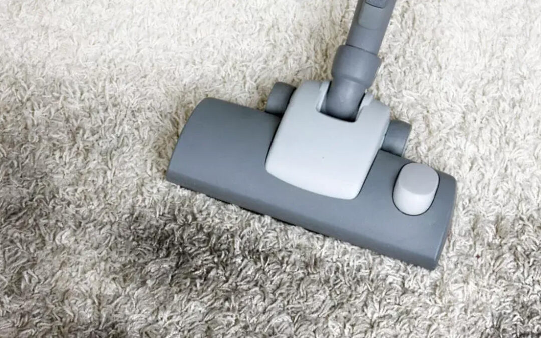 Carpet Water Damage? Here’s What You Should Do Immediately