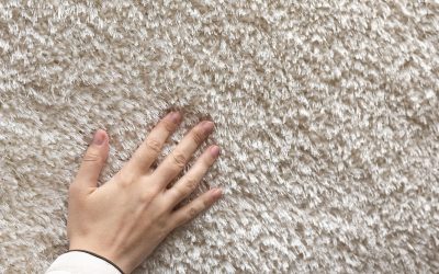Steam vs Dry Carpet Cleaning – Which Works Best in Provo’s Climate?