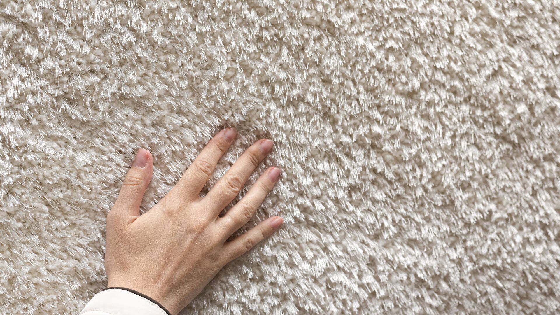 Untitled design Dry Carpet cleaning