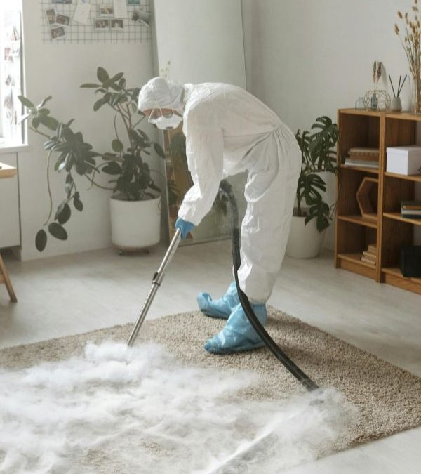 Emergency Carpet Cleaning Tips for Last-Minute Spills