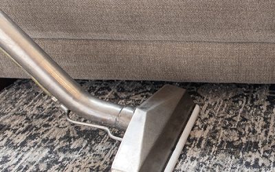 Decision Fatigue: The Quiet Reason Your Carpets Stay Dirty