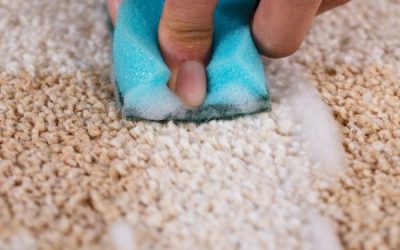 The Stress Factor: How a Dirty Carpet Affects Your Mood, Focus and Mental Well-Being