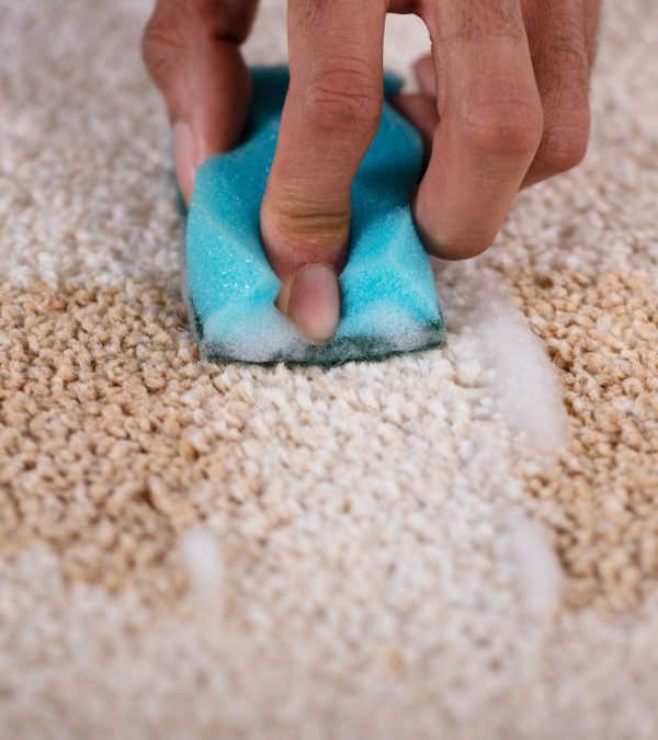 The Stress Factor: How a Dirty Carpet Affects Your Mood, Focus and Mental Well-Being