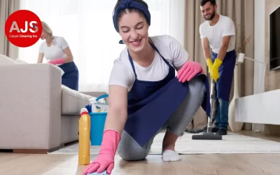 The Link Between Carpet Cleaning and Allergy Relief