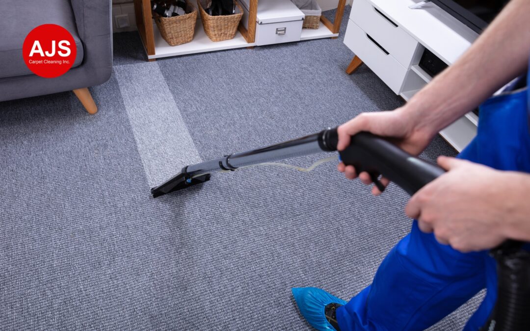 Best Carpet Cleaning Services in Utah