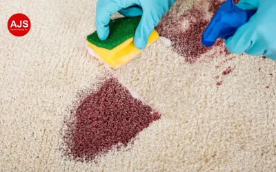What to Do When Carpet Stains Keep Coming Back