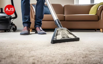 Pet Hair Everywhere? Effective Carpet Cleaning Solutions