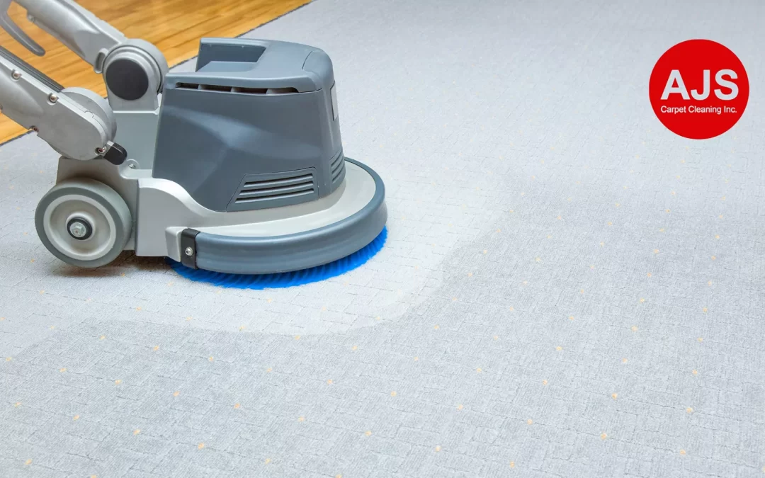 Remove Mold & Mildew Odor from Carpets