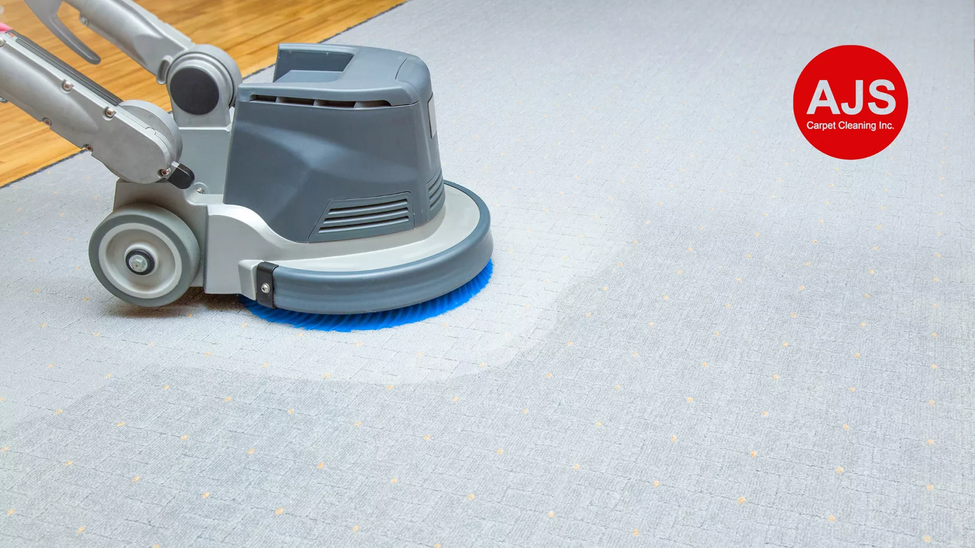 Mildew Odor from Carpets