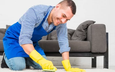 Top 10 Reasons to Hire a Local Provo Carpet Cleaner Instead of DIY