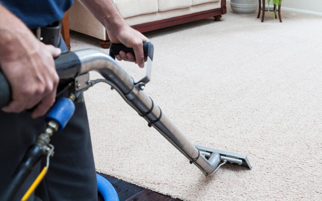 How to Compare Carpet Cleaning Services in Provo Without Overpaying