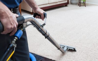 How to Compare Carpet Cleaning Services in Provo Without Overpaying