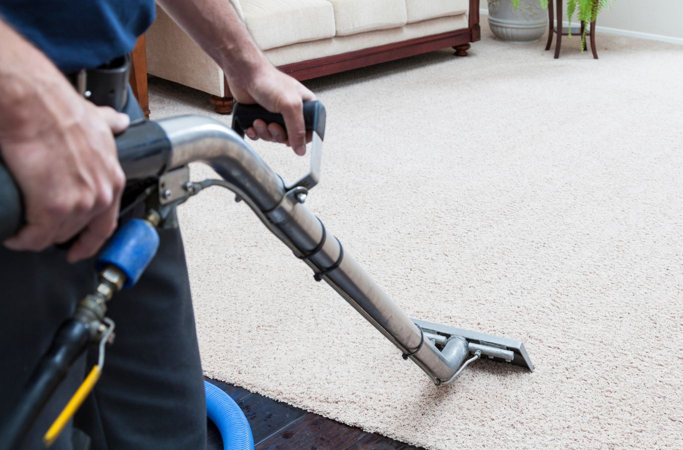 Compare carpet cleaning services Provo