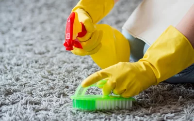 Why Homeowners Keep Pushing Carpet Cleaning Aside and How It Quietly Affects Health Odour and Carpet Life