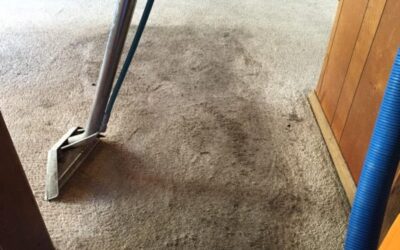 How Foot Traffic Patterns Affect Carpet Wear and Cleaning Needs