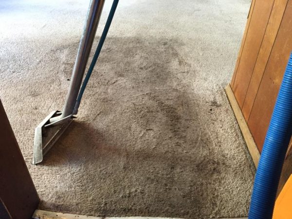 How Foot Traffic Patterns Affect Carpet Wear and Cleaning Needs