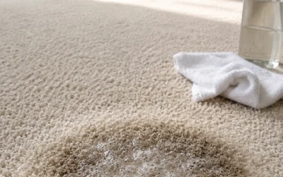 Why Soap Leaves Residue in Carpet and Causes Re-soiling.